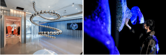 系列 循环可“型”，以艺术探索自然