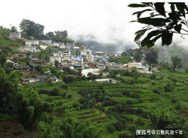 云南最低调村庄，山上拥有57022棵“摇钱树”