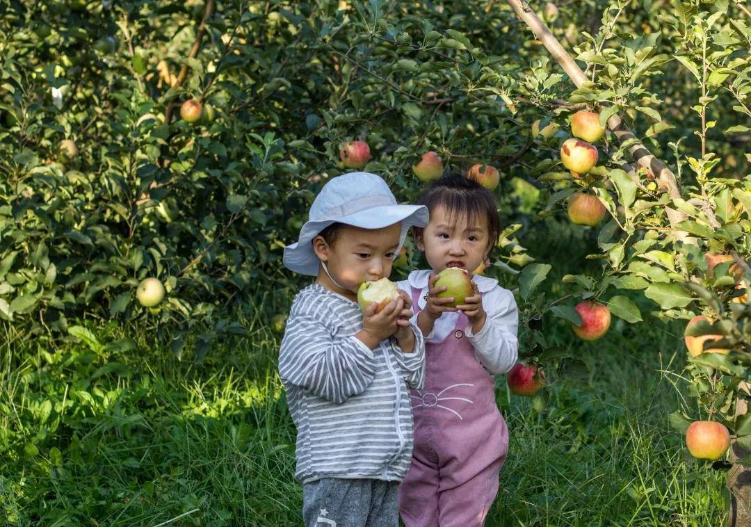 客厅|丫头的客厅 秋日信笺 | 一半仙气一半烟火