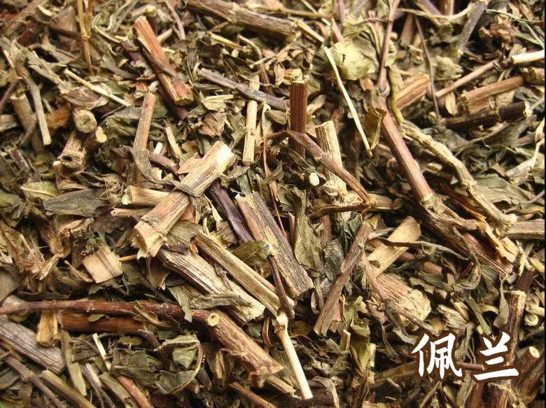每天学习一味中药佩兰