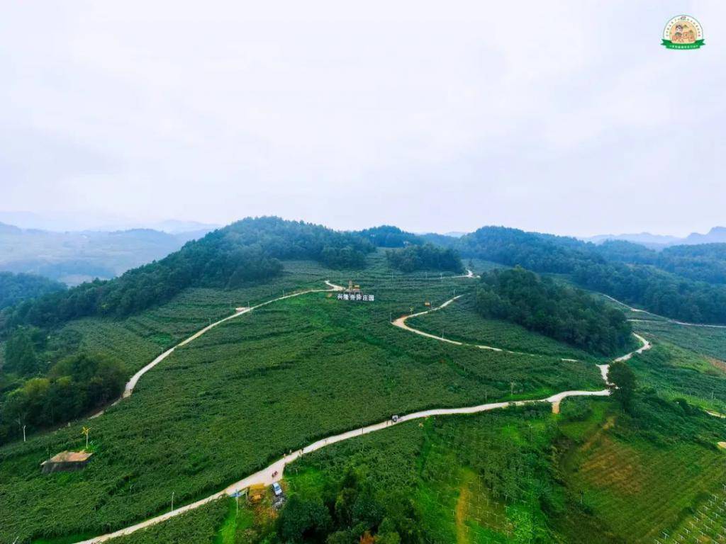 息烽|国庆农旅体验线②|百果飘香，拾趣郊野，学游相宜，息烽北线之旅