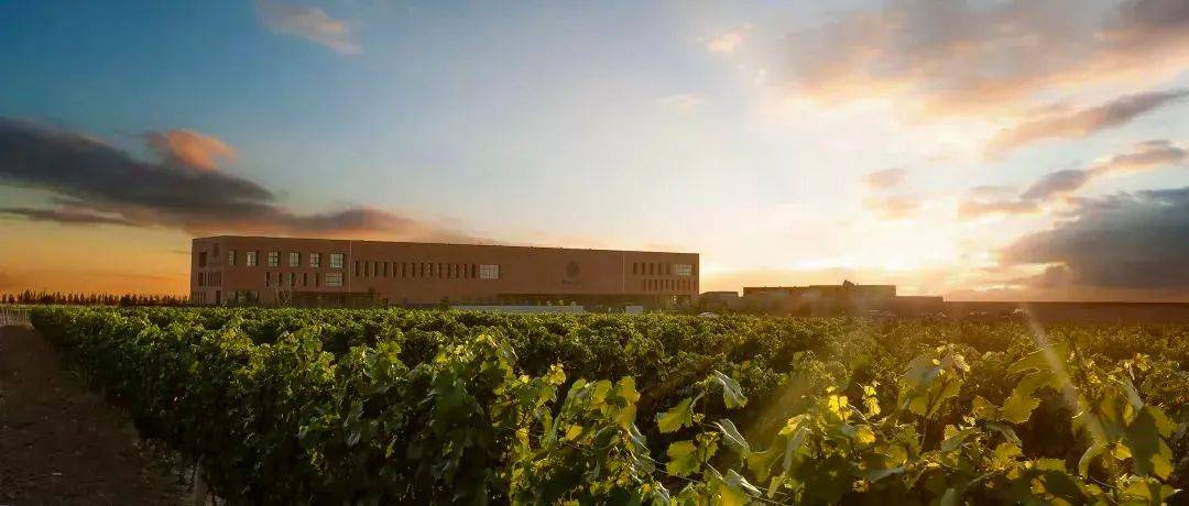 图片|最新 | 2021年度宁夏列级酒庄揭晓!