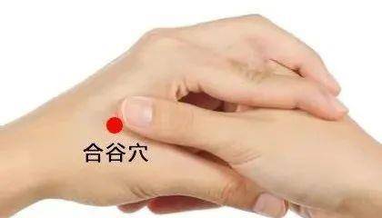 c2ea65d607f5473fbcf8c3813236e300.jpeg
