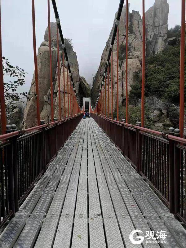 崂山巨峰“海拔”800米悬索桥重新开放！