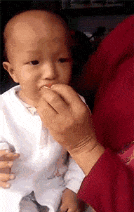 爆笑GIF圖：同樣是小寶貝，你憑什麼這麼優秀 搞笑整蠱 第5张