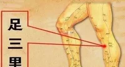 脾肾阳虚吃什么好点 878a2302c3994ec19c370f07add1830b.jpeg