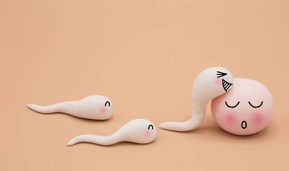 怎么快速增加精子活性 240b3db251934ab2987121fbbb1f292e.jpeg