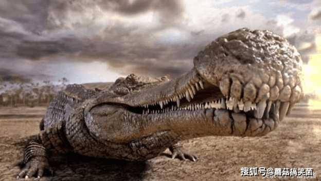 如果史前帝鳄和泰坦蟒对决,谁更厉害呢?大数据分析告诉你答案