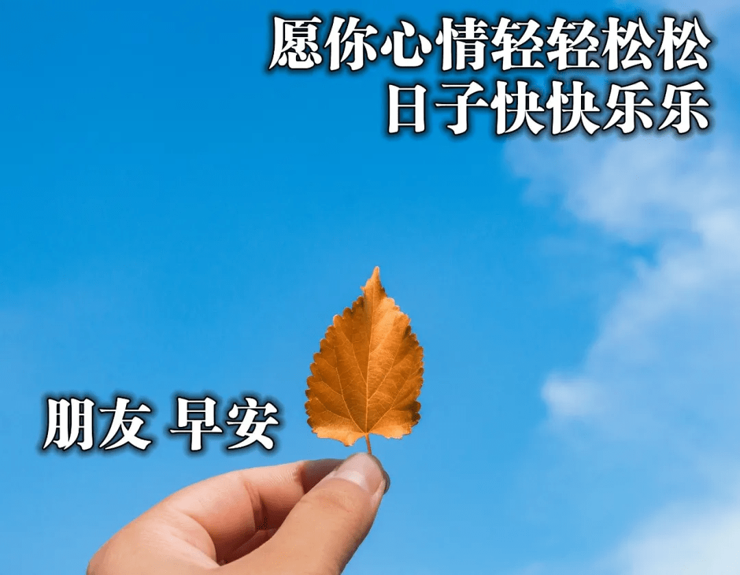 245f0586d674463e88fadb4a69f53409.png
