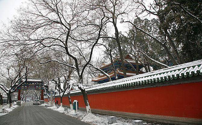 北京一旧巷已有几百年历史，红墙绿树，内藏乾坤，随手拍都是大片
