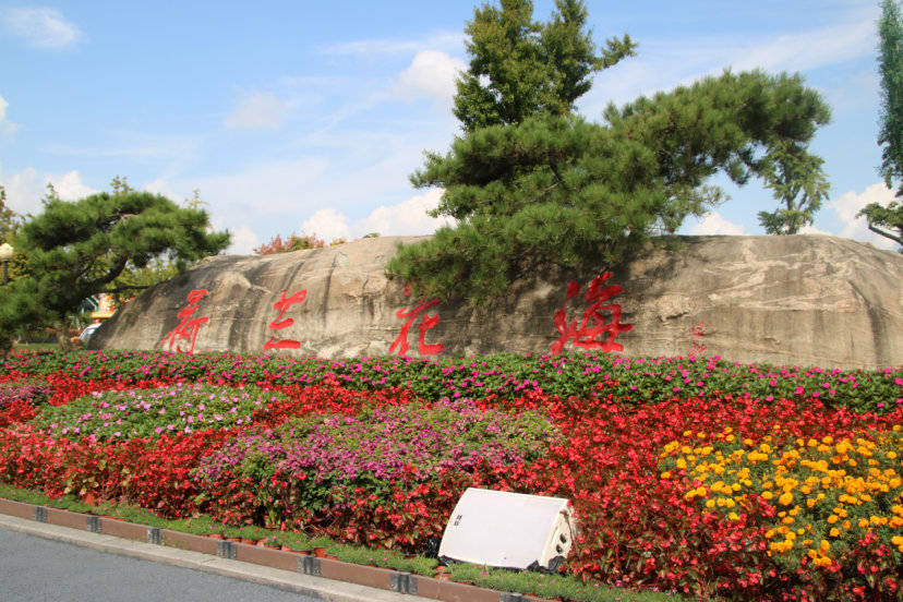 你知道吗不用出国就能看荷兰花海快和攻略君一起去逛逛吧