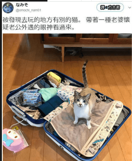 搞笑GIF趣圖：妹子回答真的的沒毛病 搞笑整蠱 第7张
