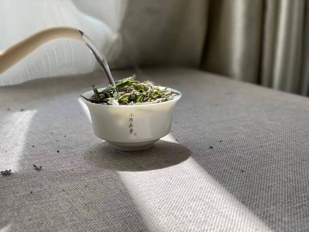 茶叶|为什么白茶泡了2次就淡了，耐泡度不如红茶和岩茶？真相来了