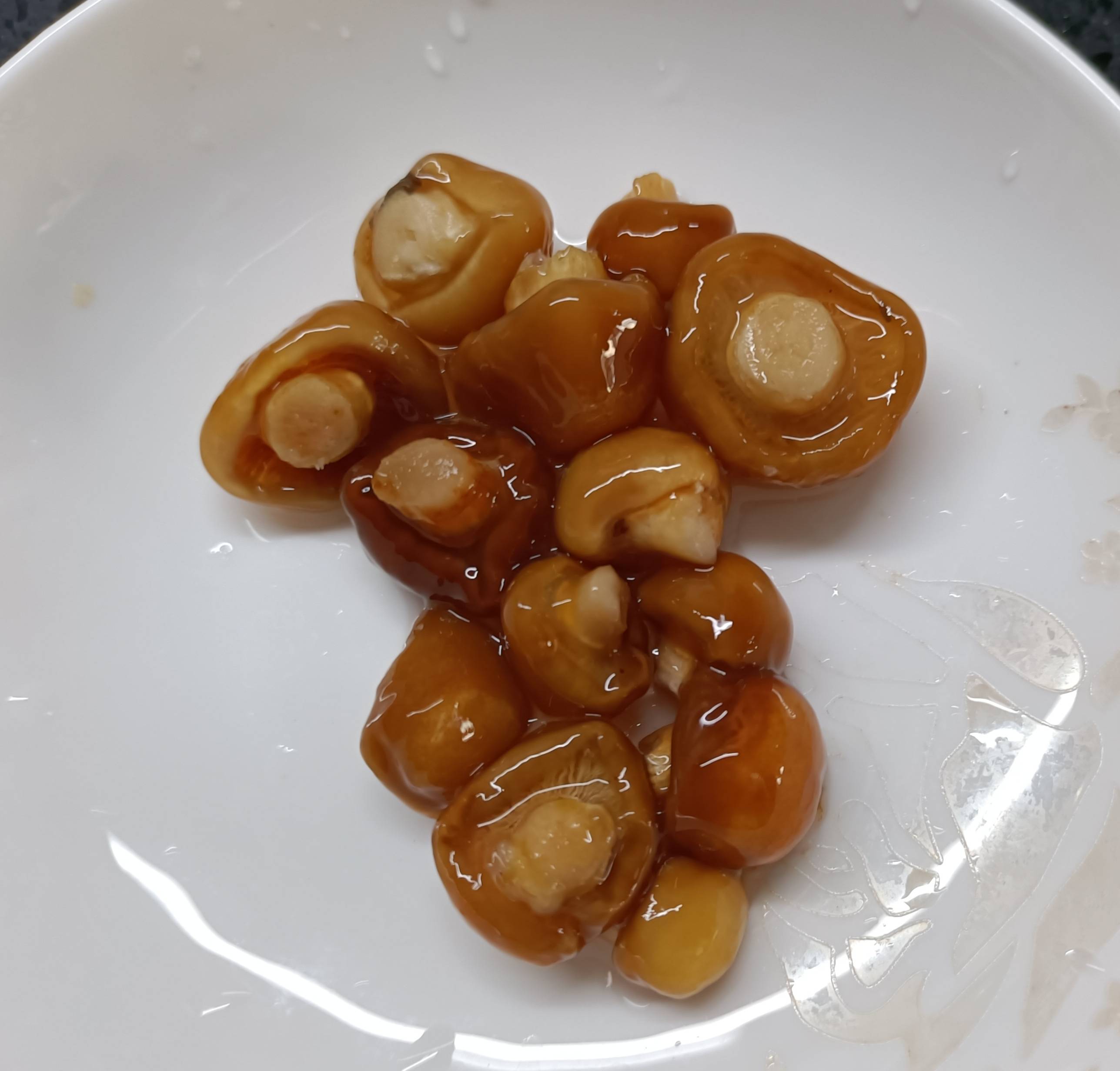 菇类|糖糖的饭饭(13)_胡陵