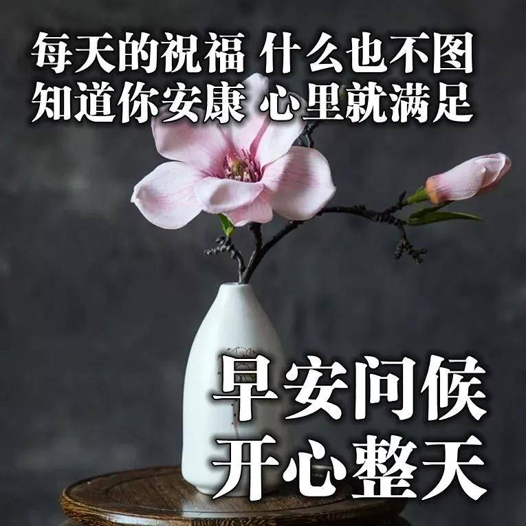 2021星期五清晨早安温馨问候语集锦,早上好鲜花漂亮问候语图片