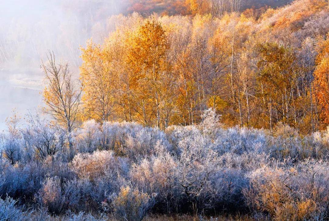 京郊|秋风起 寒露至
