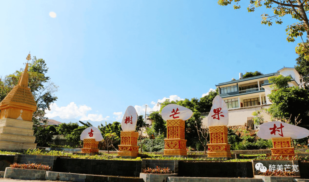 保山隆阳那抹荧光绿是夜幕中最美的色彩