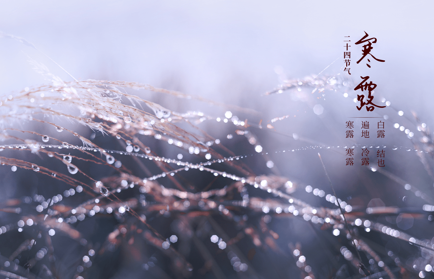 节气|寒露养生一个字——暖