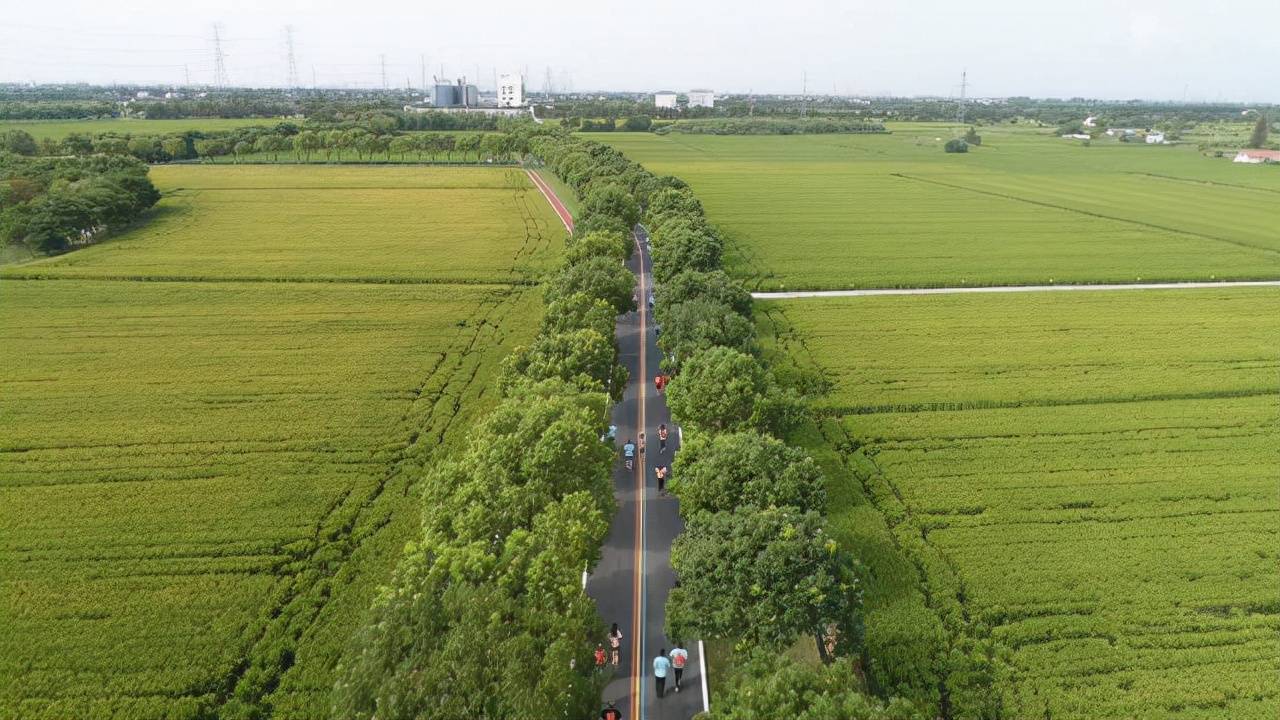 滴滴太倉市城廂鎮東林村這個寶藏鄉村邀請您趕快上車