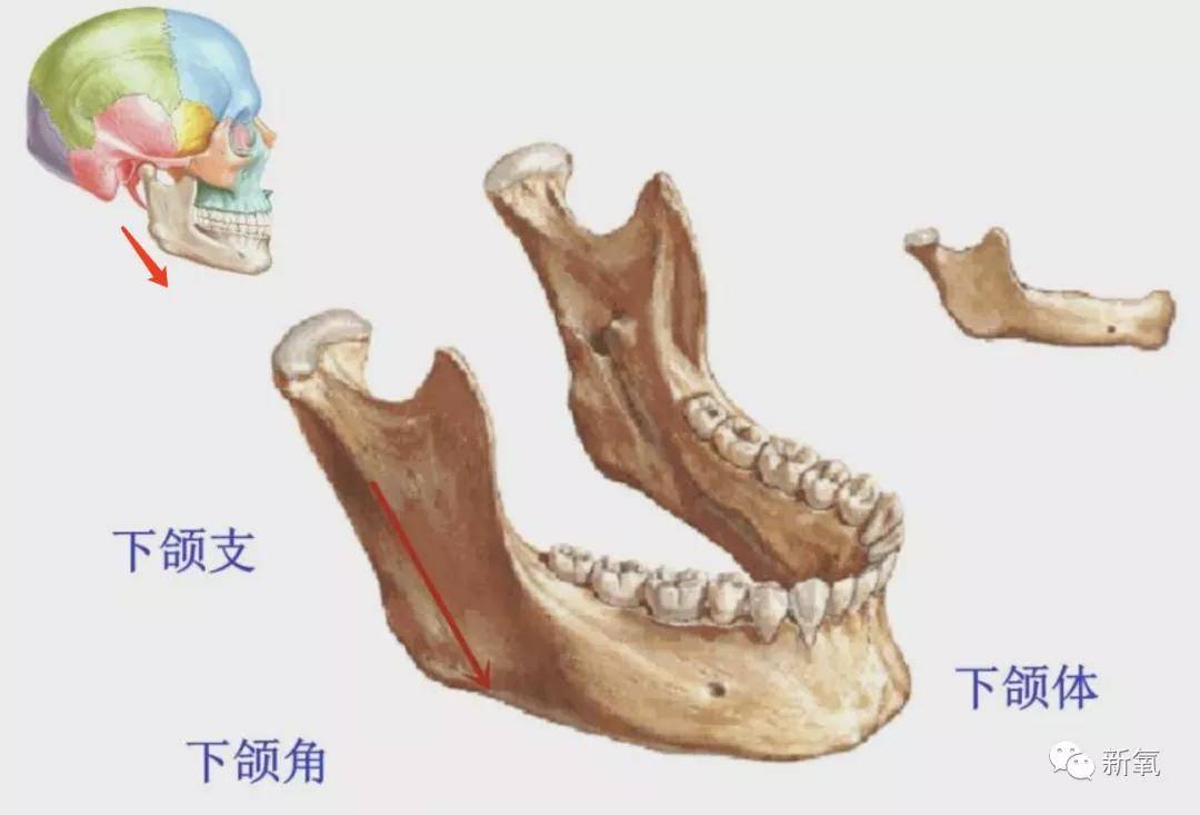 纵向为什么张柏芝都不发腮的啊！！！（嫉妒嘶吼