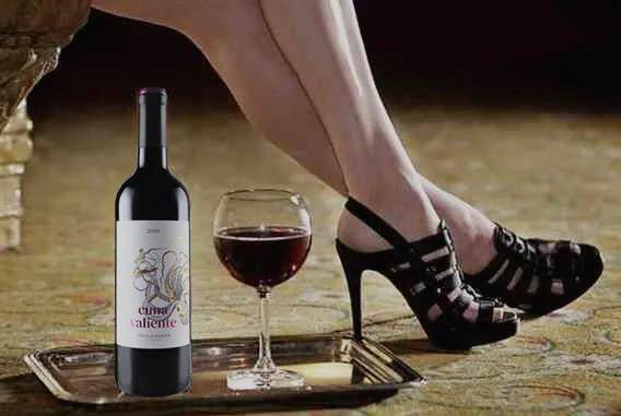 加利西亚|中喜酒业:卡娜葡萄酒:如何诠释不灭的西班牙骑士精神?