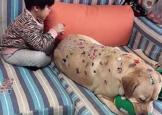 啥时候疫情能过去呢 0a9188ad5f6c4a52b8cbeebeda0da8f5.jpeg