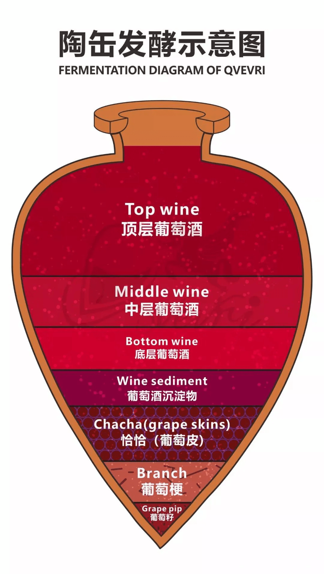 酿酒|中格文化：中国首家格鲁吉亚红酒博物馆