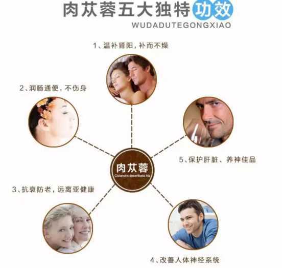 本金|为什么会肾虚?肾虚是怎么导致的?如何从根源治肾虚?