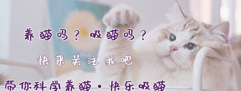 因为|别再抱怨主子的这些坏习惯了!还不都是因为你给惯的……