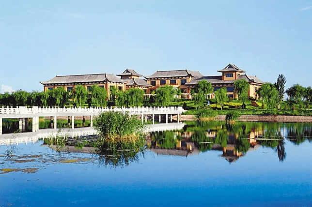 葡萄|你知道宁夏的第一瓶干红葡萄酒是怎么诞生的吗？