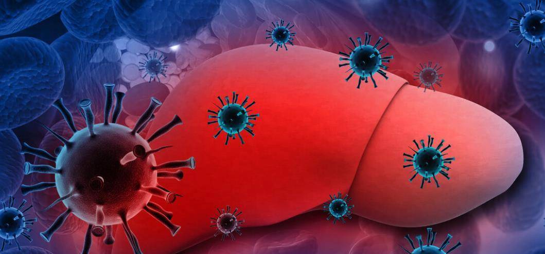 症状|食欲不振、恶心未必都是胃部疾病，也许是肝脏的“求救”信号