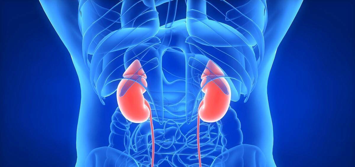 肾脏|从高血压到尿毒症，需要多久？有高血压的人要怎样保护肾脏？