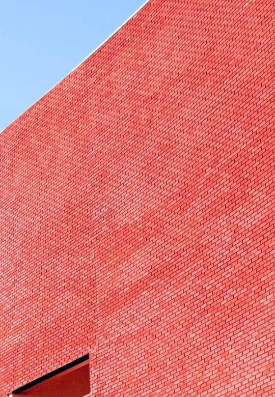 变化|秋季过敏 不得不防