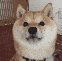 手术|如何do鼻子才能有好的效果？