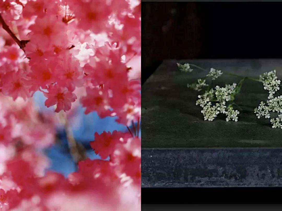 美学极具视觉冲击力的日式爆裂美学，肆意而浪漫