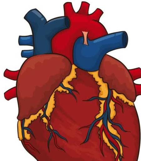 症状|提醒：40到55岁是“养命关键期”，请别忽视这3个器官的病变症状