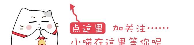 战斗力二哈打不过猫妈只好欺负小奶猫，结果被猫妈一巴掌打回原形