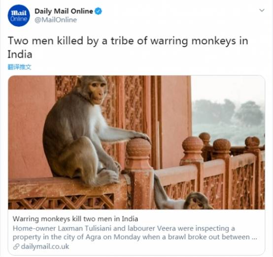 这才是“战斗民族”！印度发生猴子斗殴事件，竟然把房子打塌了