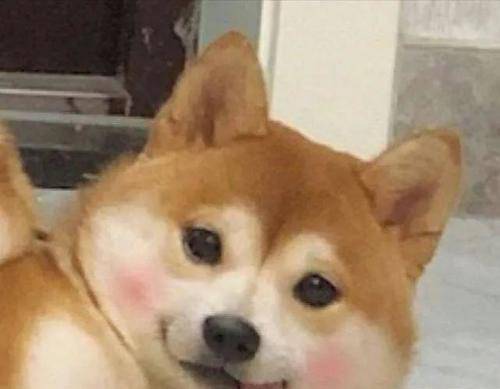 大头 妙啊！厚外套＋阔腿裤＝今冬超流行搭配！真的好看炸了！