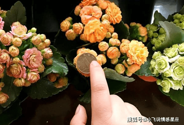 10月12日 登高望远 邂逅佳缘 默默许愿 月老牵线 结良缘 射手 10月12日 登高望远 邂逅佳缘 默默许愿 月老牵线 结良缘 射手