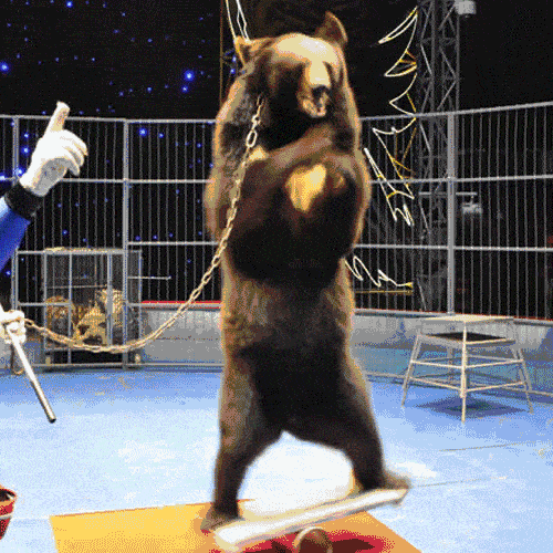 500_500gif 动态图 动图