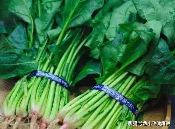 好消化又有营养的菜 11756b8f98ae45868552ffb9a139b922.jpeg