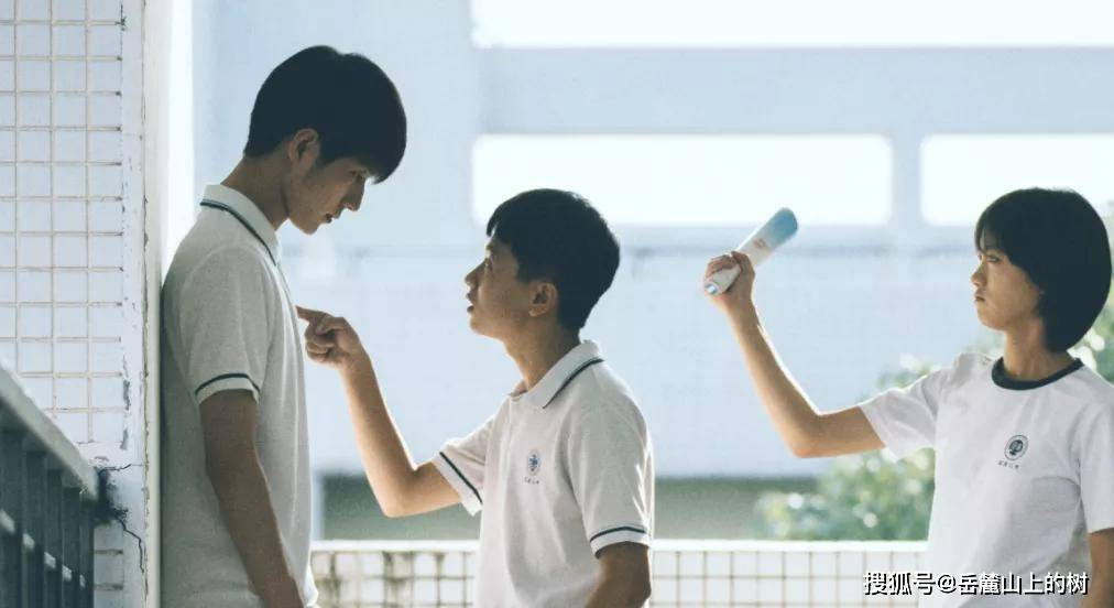 青春|《五个扑水的少年》热血不狗血