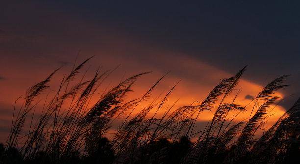 原创2天后,微风吹拂,不缺钱,事业高涨,前任等候,和好如初见