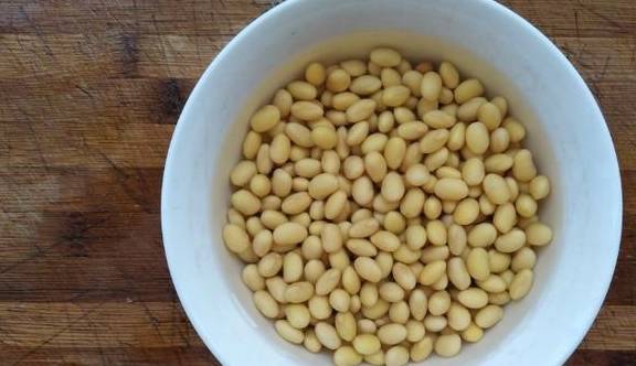黄豆|秋天,每天早餐给孩子喝一杯,个子高又增强记忆力,比喝牛奶强