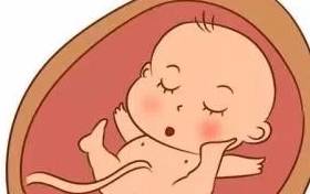 啥时候是最佳怀孕期 7ea95f58de614fe9859821d2fba40f64.jpeg