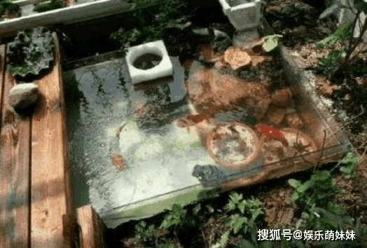 e6b6ae1cfb1c4918b9ee54a61263e7e8.png
