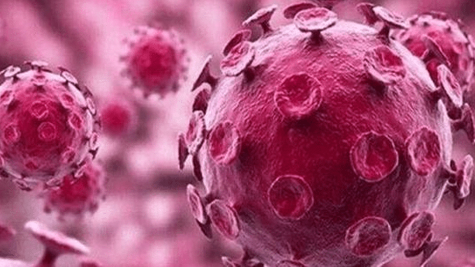 接种|为什么宫颈癌可怕？每年29万人死于宫颈癌，男性也不能避免