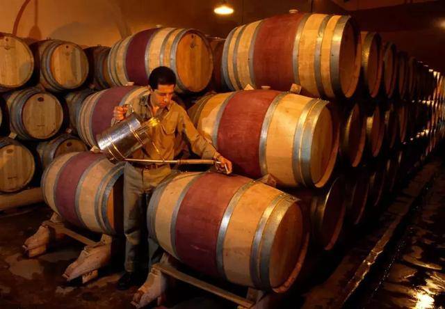 进行|经过“橡木桶”培养的葡萄酒才是好酒？不一定，教你一招分辨好坏