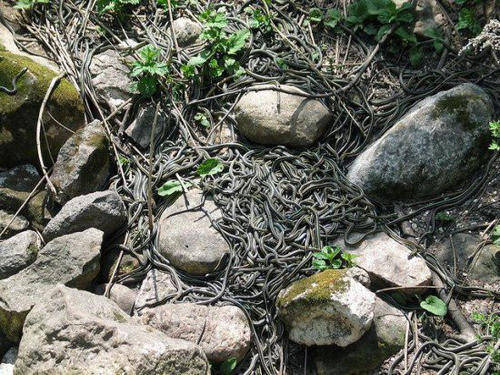 爆破|天价拍摄的电影镜头：一个镜头拍15个月，一场爆破戏花500万美金